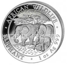 Ag-SOM13.100sh.1.Elephant Somalia 1 oz Elephant 2013